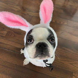 Meet your Posher, Grace